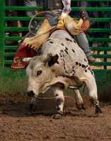Helmville Rodeo
