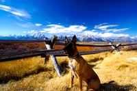 Anya Tetons