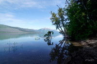 lakemcdonald copy