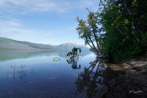 lakemcdonald copy