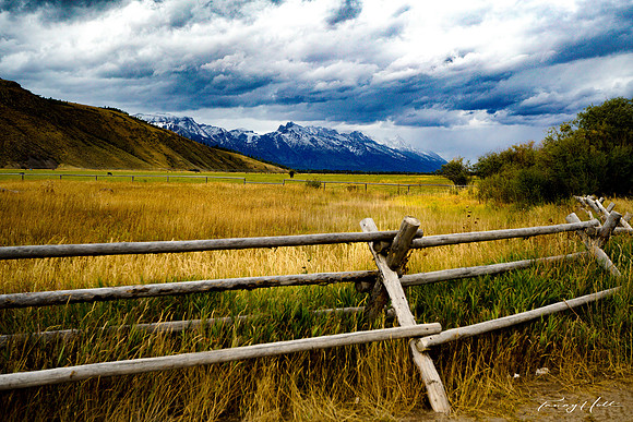 tetonfence2