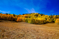 Autumn Colors, Utah