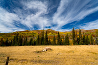 Beautiful Clouds, Utah