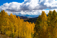 fall dusted with a little snow