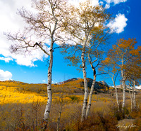 Autumn in Utah